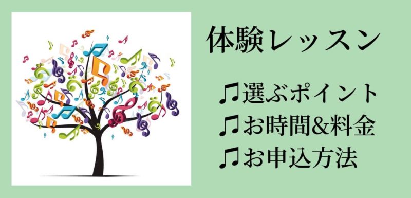 maru music - 福岡市中央区天神にあるピアノ、ボーカル、ギター教室の体験レッスンとは